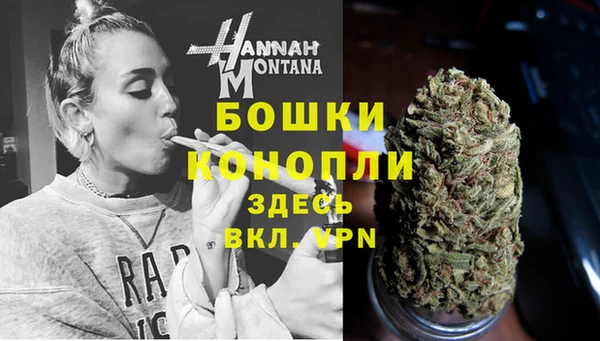 стаф Протвино