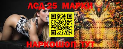 сатива Гай