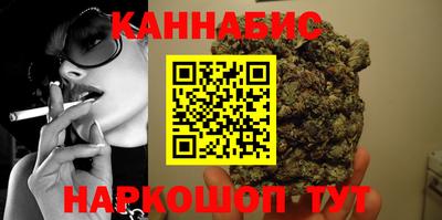 сатива Гай