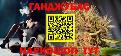 сатива Гай
