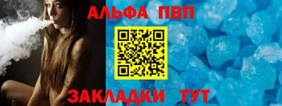 кокс Гатчина