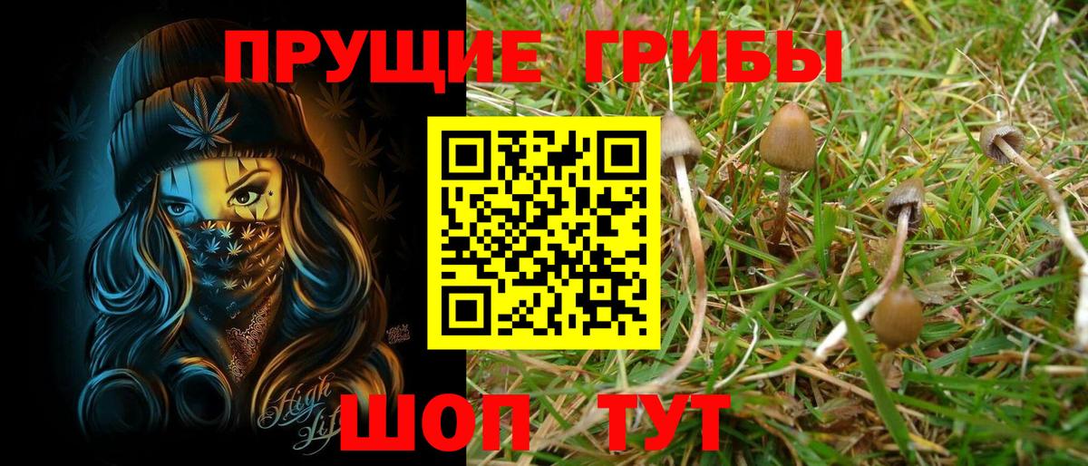 Реутов  как найти   Вход с VPN  Псилоцибиновые грибы MAGIC MUSHROOMS  Галлюциногенные грибы прущие грибы 